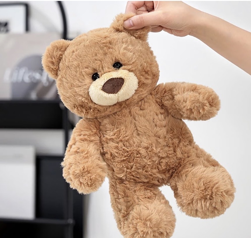 Small Teddy Bear